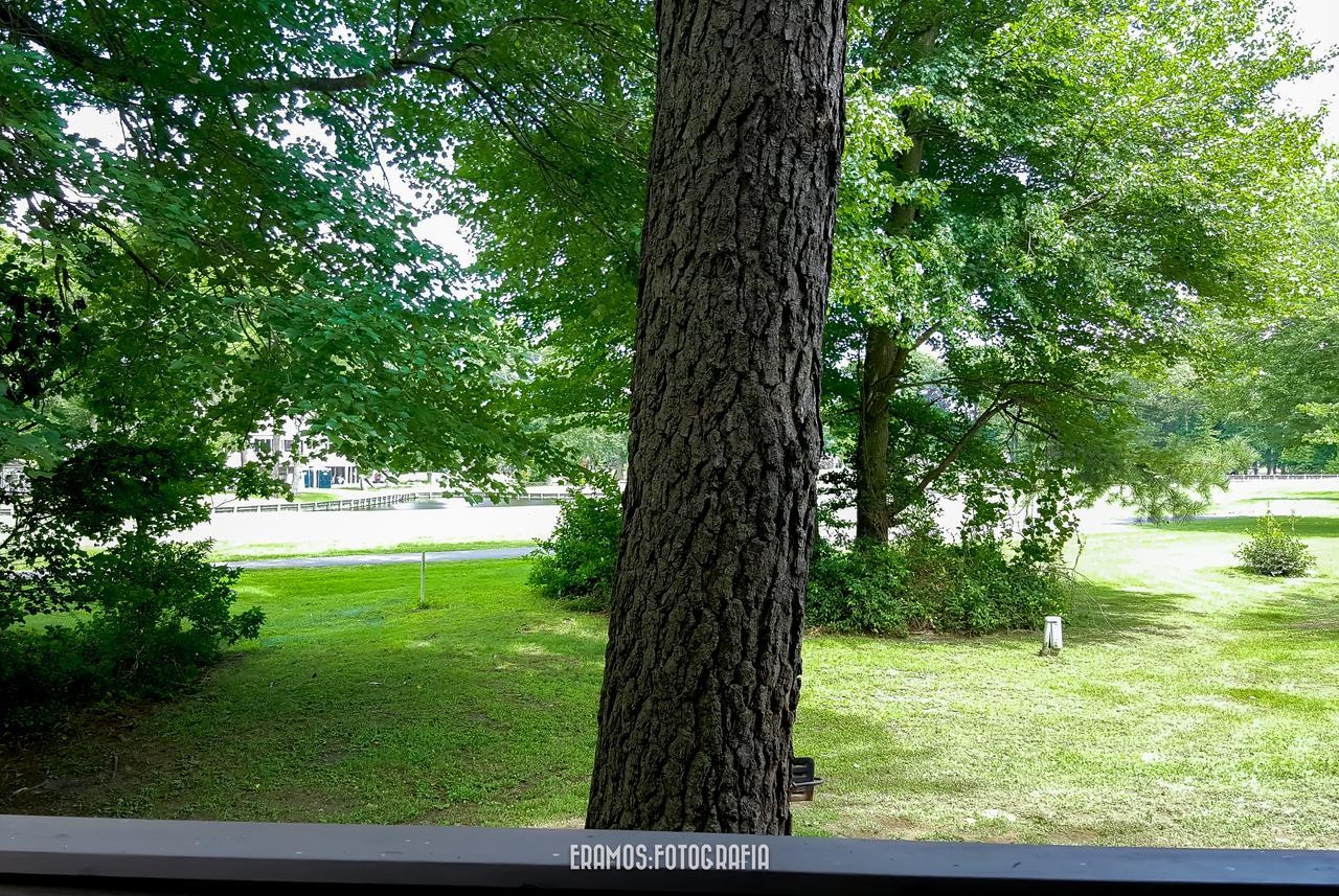 Villas Of Ocean Pines Ocean City Esterno foto